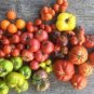 Super Surprise Mix Tomato 200 Seeds