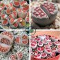 karasmontana 'Top Red' Succulents Garden Plants 200 Seeds