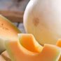 Heirloom Glutinous Very Sweet Muskmelon Melon Fruit 200 Seeds