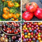 Rare 30 Types of Different Gardening Tomato Organic 60 Seeds