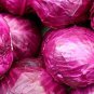 Park's All-Purpose Blend Cabbage  300 Seeds