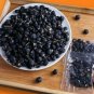 100% True Rare Black Goji Lycium Ruthenicum Murray Herb 60 Seeds