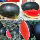 Black Skin Long Red Watermelon 60 Seeds