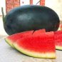 Black Skin Long Red Watermelon 60 Seeds