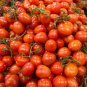 Light Orange Big Juicy Tomato 200 Seeds