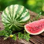 Inside Sweet Big Watermelon F1 'Wu Hei' 40 Seeds