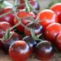 Tomato 'Blue Berries' Fruit 200 Seeds
