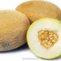 Sweet Melon Redish Orange Inside White Skin Fruit 20 Seeds