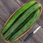 Cucumber Dark Green few Barbed Slippy Vegetable 20 Seeds