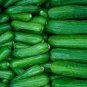 Cucumber Mixed Mini Small Medium Large Vegetable 40 Seeds