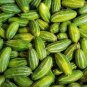 Cucumber Mixed Mini Small Medium Large Vegetable 40 Seeds