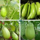 Big Green Eggplant Vegetable Organic 560 Seeds