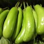 Big Green Eggplant Vegetable Organic 560 Seeds