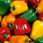 Mixed Peking Colorful Sweet Bell Pepper Edible Vegetable 50 Seeds