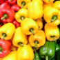 Mixed Peking Colorful Sweet Bell Pepper Edible Vegetable 50 Seeds