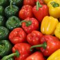 Mixed Peking Colorful Sweet Bell Pepper Edible Vegetable 50 Seeds