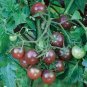 Tomato Blackish Purplish Red Big Fruit Vegetables 400 Seeds