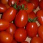 Tomato American Imported Long Pink Fruit Vegetable 600 Seeds