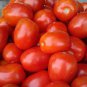 Tomato American Imported Long Pink Fruit Vegetable 600 Seeds
