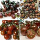 Tomato Coffee Color with Brown Stripes 'Zicai' Vegetable 600 Seeds