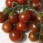 Tomato Coffee Color with Brown Stripes 'Zicai' Vegetable 600 Seeds