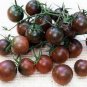 Tomato Coffee Color with Brown Stripes 'Zicai' Vegetable 600 Seeds