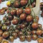 Tomato Coffee Color with Brown Stripes 'Zicai' Vegetable 600 Seeds
