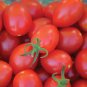 Tomato Bright Red Middle F1 Hybrid 600 Seeds