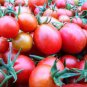 Tomato Family 400 Seeds