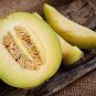 Rare Heirloom Elliptical Black Sweet Melon with Green Meat 1200 Seeds