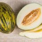 Rare Heirloom Elliptical Black Sweet Melon with Green Meat 1200 Seeds