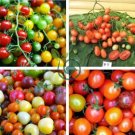 'Tomato New Family' Red Yellow Green Small Tomato 200 Seeds