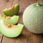 Japanese White Sweet Melon with Orange Meat 20 Seeds