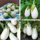 Qinshu White Eggplant Hybrid 20 Seeds