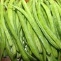 Bean Sword Bean Chamma Kaya Tammakaya Japanese Sword 100 Seeds