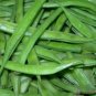 Bean Sword Bean Chamma Kaya Tammakaya Japanese Sword 100 Seeds