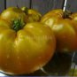 Rare Cherokee Golden Big (Dark Brandy, korol sibiri, German bi-color, RU taosiy) Tomato 2000 Seeds
