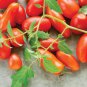 Small Pink Banana Tomato 300 Seeds