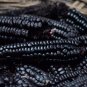 Aztec Black Corn Ancient Heirloom 40 Seeds
