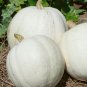 Casper White Pumpkin 200 Seeds