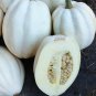 Mashed Potato Squash 100 Seeds
