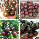 Small Colorful Cherry Tomato 600 Seeds