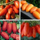 Middle Red Banana Tomato 600 Seeds