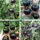 Very Black Tomato 24 Seeds