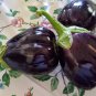 Black Beauty' Black Eggplant Vegetable   200 Seeds