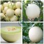 Melon Hybrid Oval Fruit  400 Seeds
