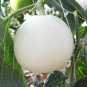 Melon Hybrid Oval Fruit  400 Seeds