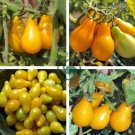 Yellow Fat 'Luo Cheng' Organic 600 Seeds
