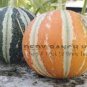 Golden Swan Melon Pumpkin 12 Seeds