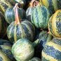 Golden Swan Melon Pumpkin 12 Seeds